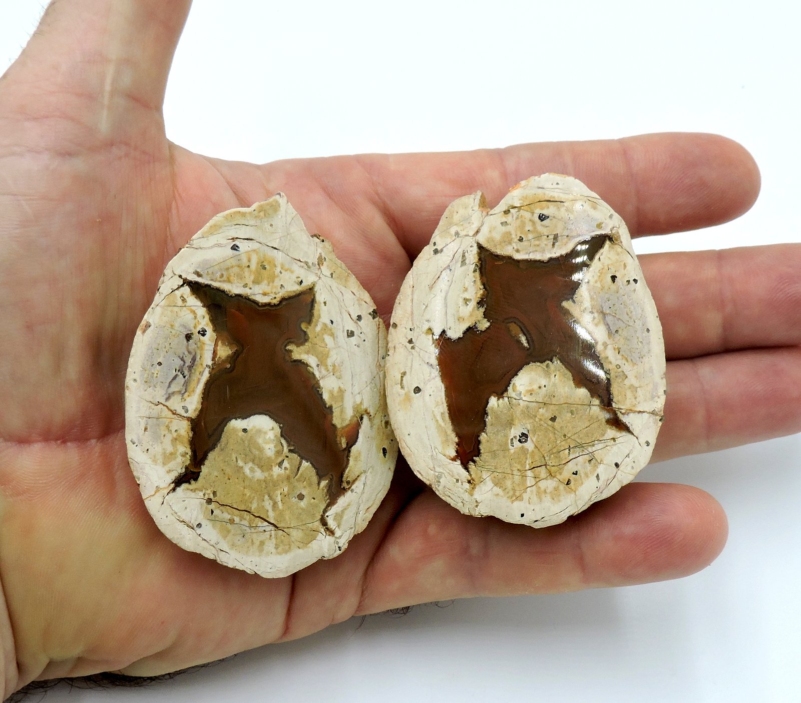 thunder egg hand thunder egg hand image