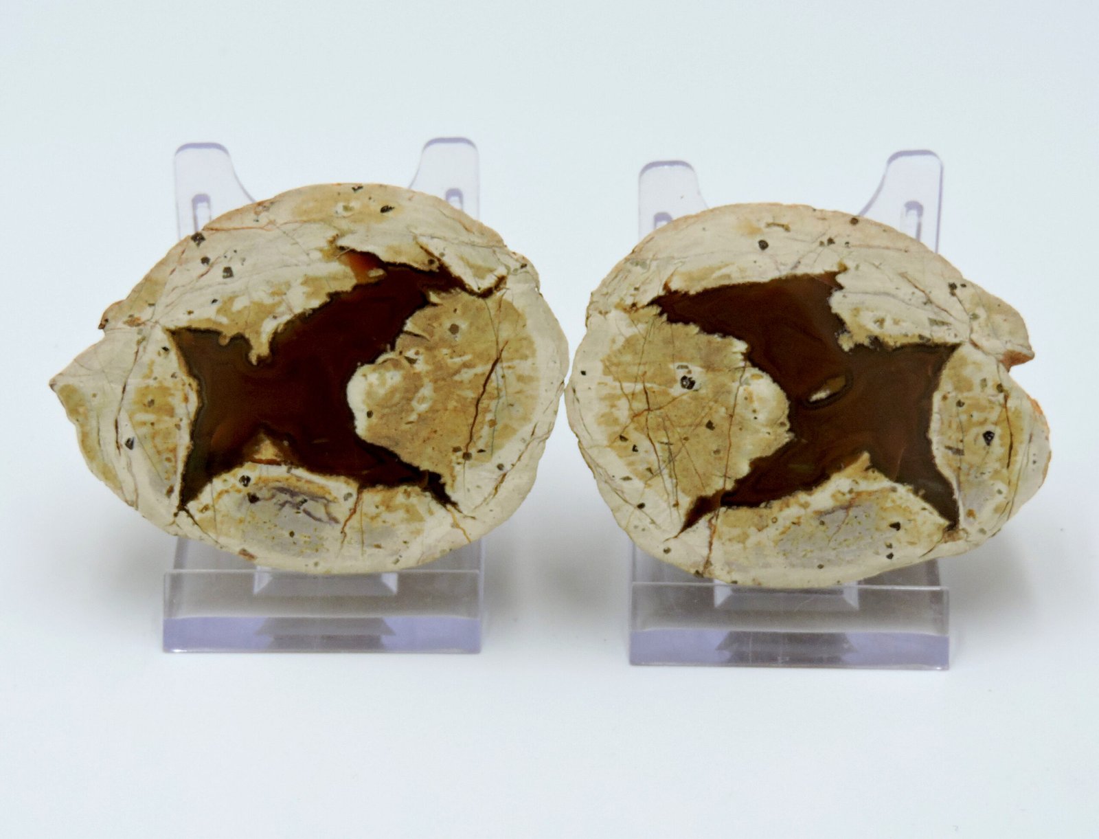 thunderegg stand thunderegg stand image