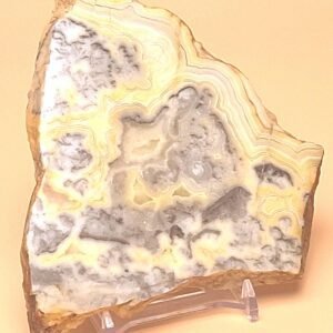 229g Polished Western Australian Pilbara Crazy Lace Agate Slice  Free Slab Display Stand
