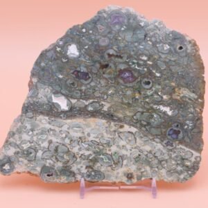 227g Polished Mount Hay Australian Rainforest Jasper Rhyolite Slice Free Slab Display Stand MH05137