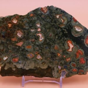 229g Polished Mount Hay Australian Rainforest Jasper Rhyolite Slice Free Slab Display Stand MH05141
