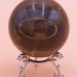 65mm Polished Petrified Wood Sphere From Wandoan Queensland Free Orb stand PW15053
