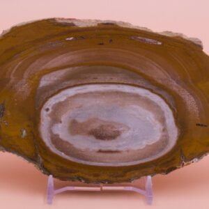 238g Polished Ribbon Stone Chert Queensland Australia Slice Free Slab Display Stand RS05152