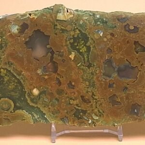 360g Polished Mount Hay Australian Rainforest Jasper Rhyolite Slice Free Slab Display Stand