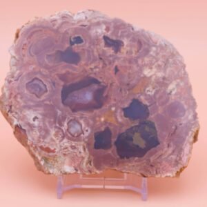 227g Polished Mount Hay Australian Rainforest Jasper Rhyolite Slice Free Slab Display Stand MH05132