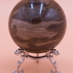 65mm Polished Petrified Wood Sphere From Wandoan Queensland Free Orb stand PW15051