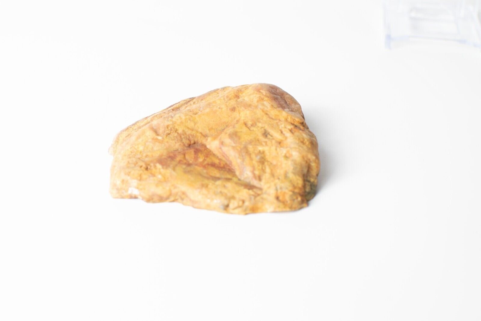 Polished-Chinchilla-Petrified-Wood-Slice-Stone-Slab-Australian-PW2109235-374943377830-2