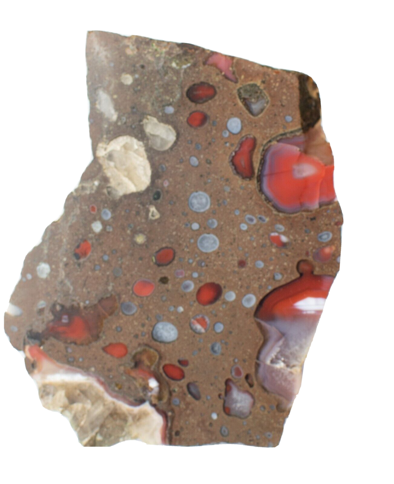 Polished-Queensland-Galaxy-Agate-Slice-Rock-Slab-GA120423-374624832340