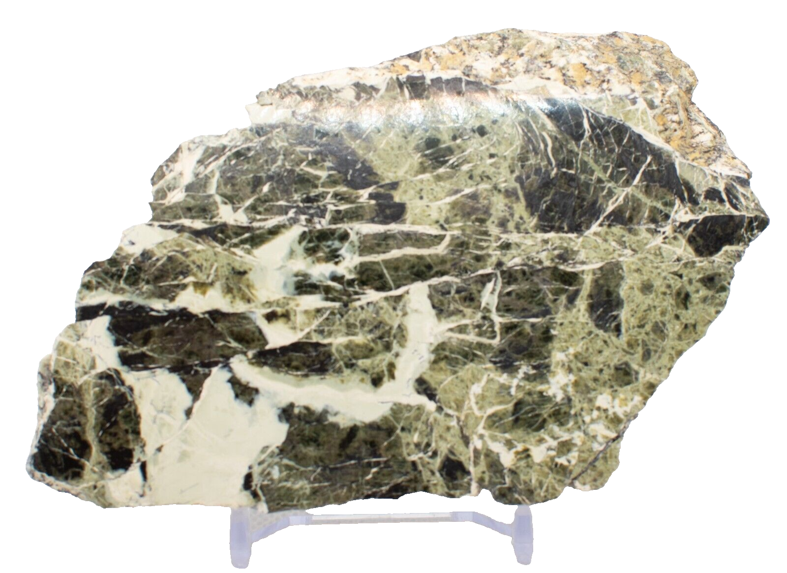 Polished-Queensland-Serpentine-Slice-Slab-S161223-375124283750