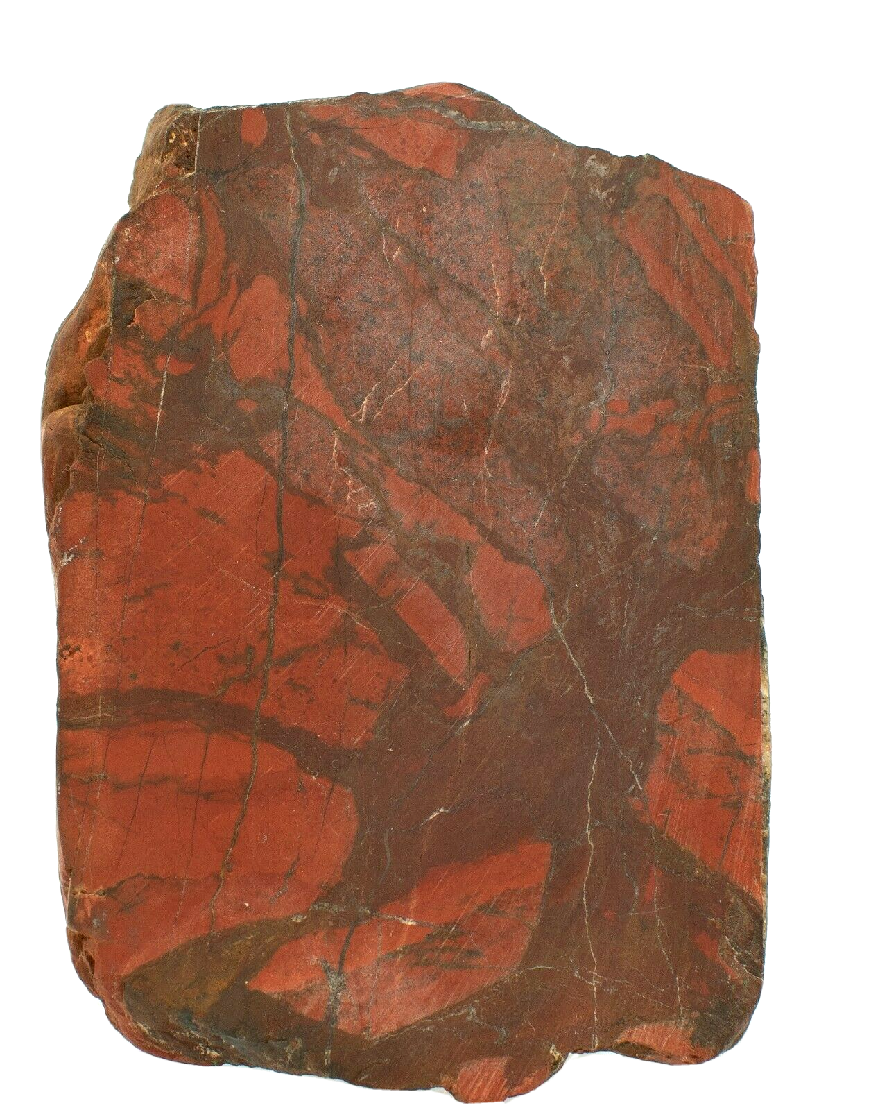 Polished-Western-Australian-Brecciated-Jasper-Slice-Stone-Slab-Pilbara-BJ002-374010566600-2