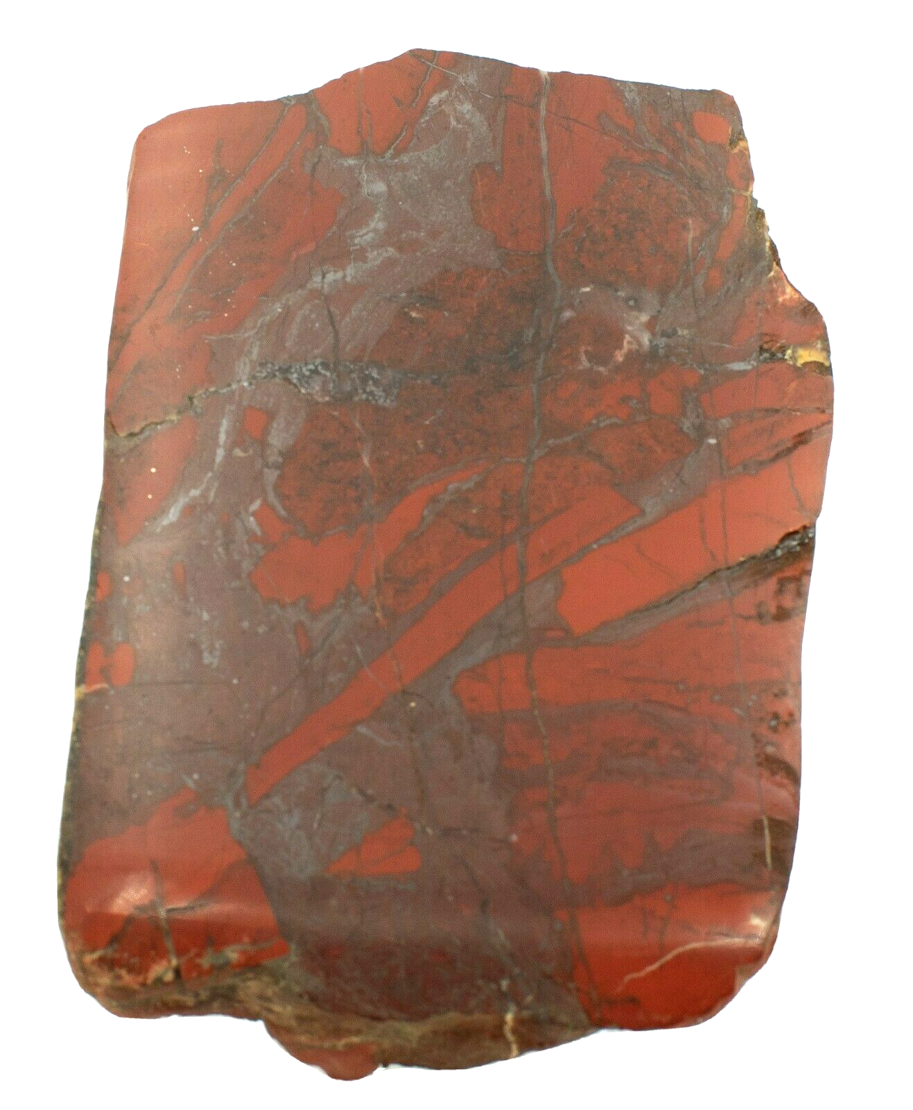 Polished-Western-Australian-Brecciated-Jasper-Slice-Stone-Slab-Pilbara-BJ002-374010566600
