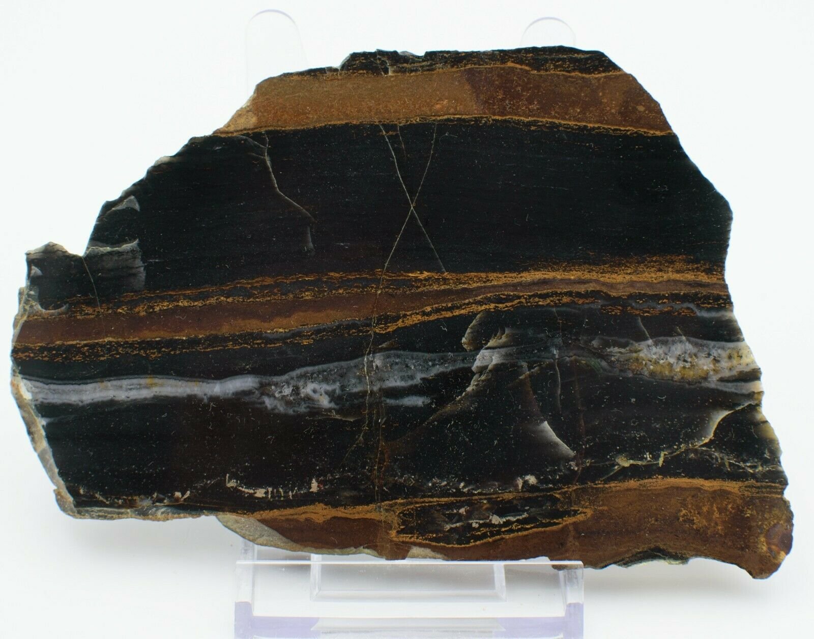 Polished-Western-Australian-Chert-Pyrite-Slice-Stone-Slab-Pilbara-Jasper-373995098940