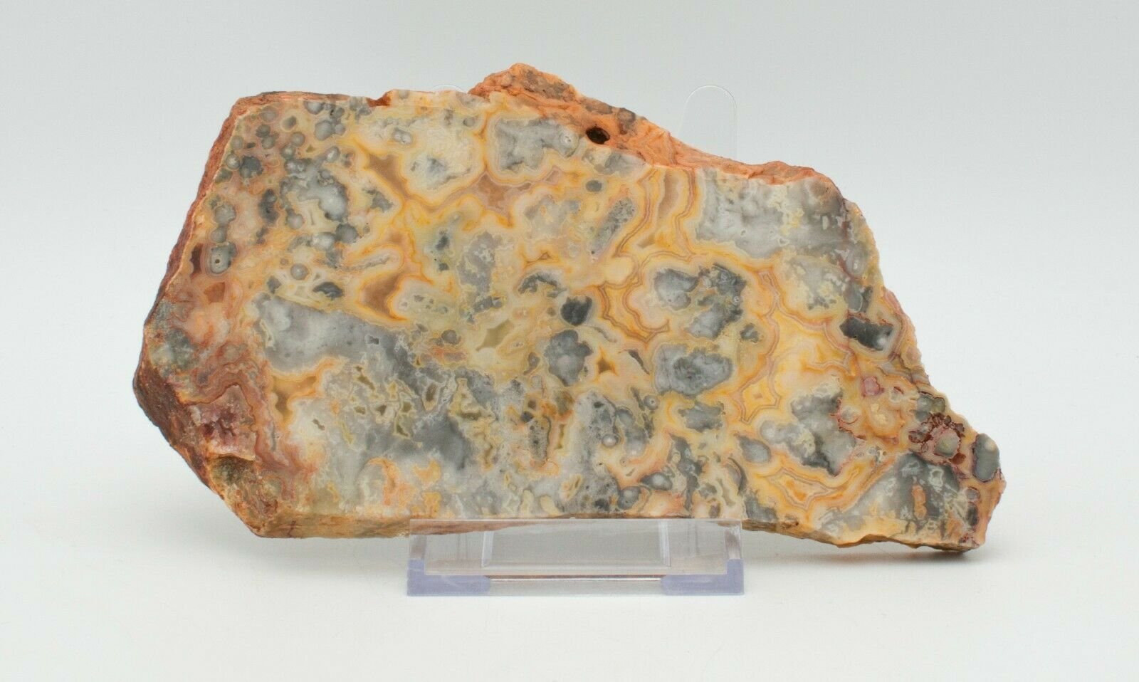 Polished-Western-Australian-Crazy-Lace-Agate-Slice-Stone-Slab-Pilbara-373255805520-2