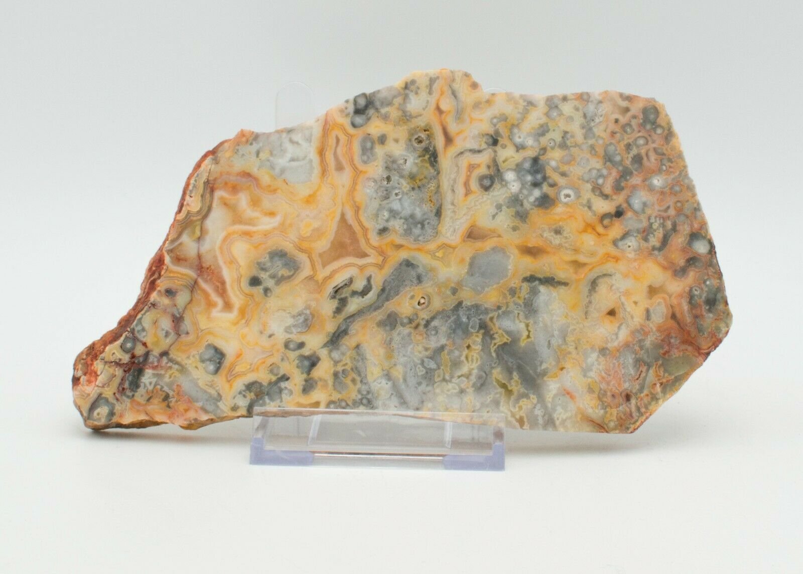 Polished-Western-Australian-Crazy-Lace-Agate-Slice-Stone-Slab-Pilbara-373255805520