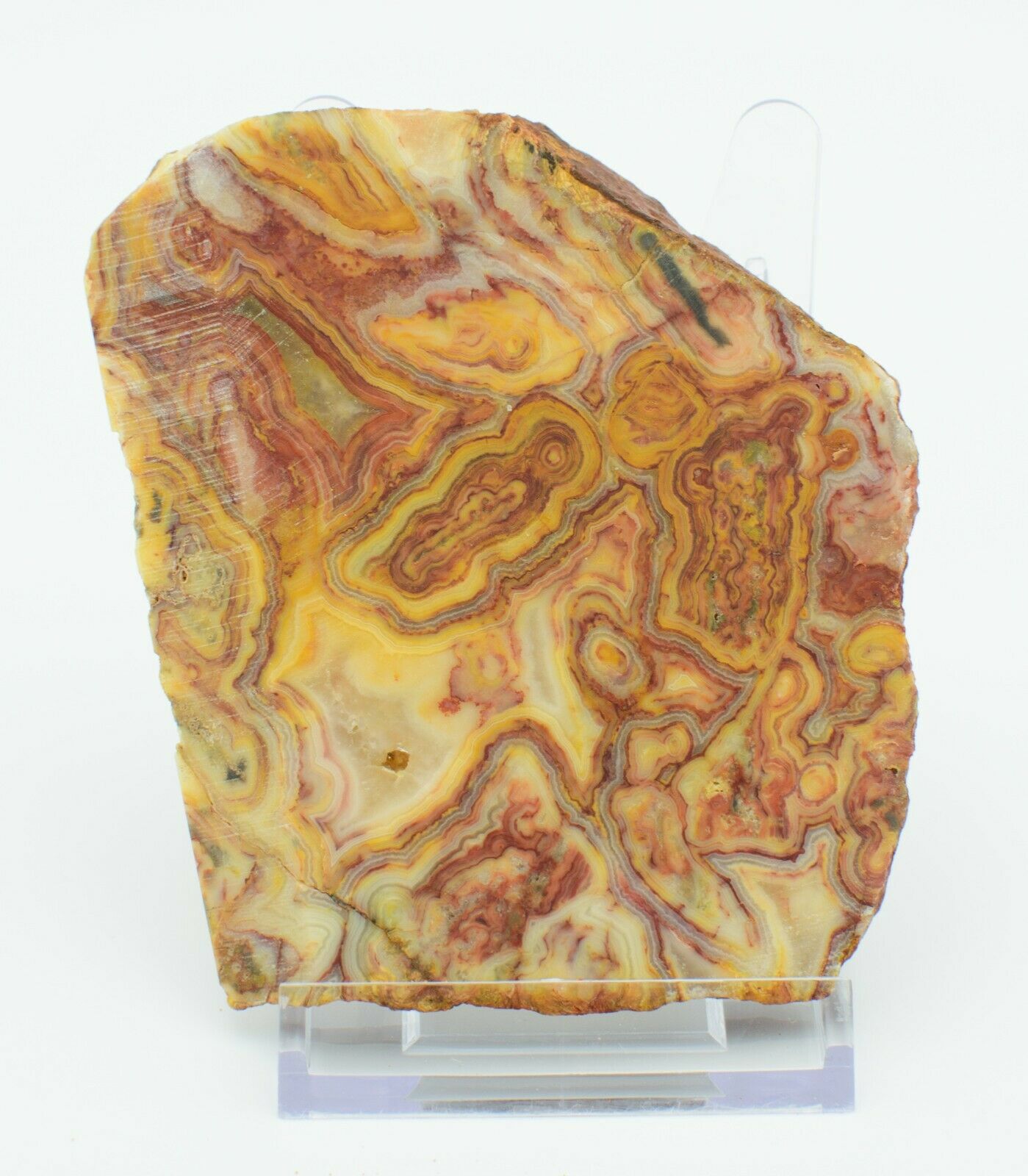 Polished Western Australian Crazy Lace Agate Slice Stone Slab Pilbara ...