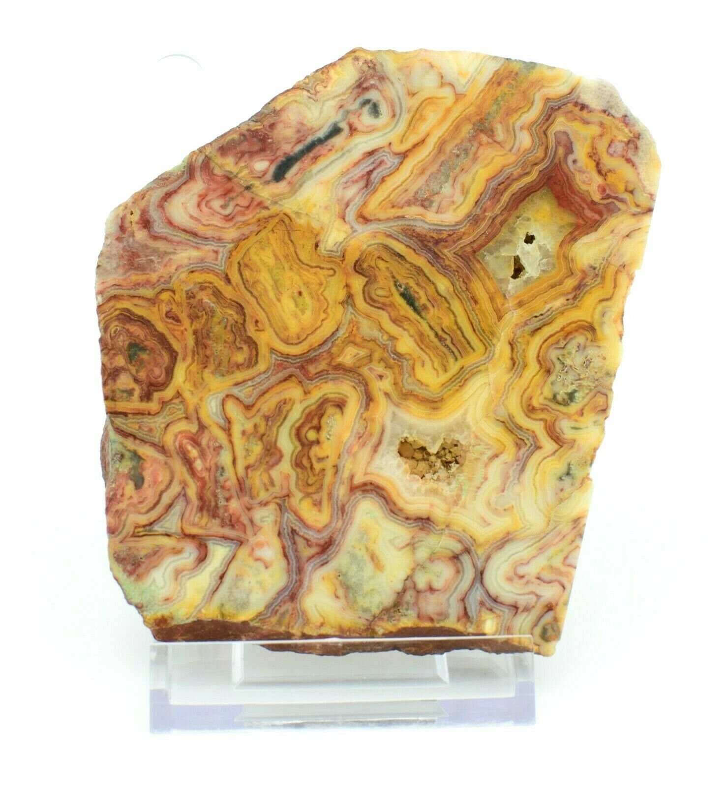Polished-Western-Australian-Crazy-Lace-Agate-Slice-Stone-Slab-Pilbara-CL001-373993879050