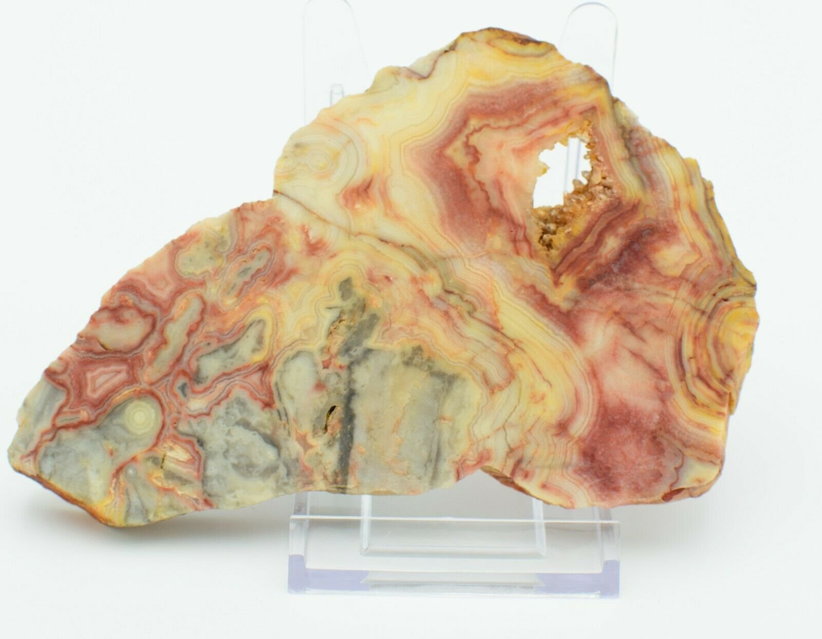 Polished-Western-Australian-Crazy-Lace-Agate-Slice-Stone-Slab-Pilbara-CL002-373993889880-2