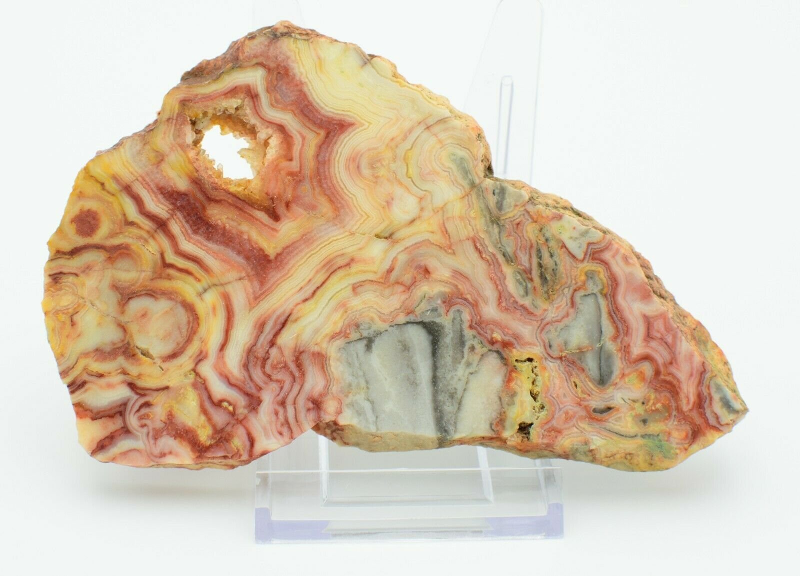 Polished-Western-Australian-Crazy-Lace-Agate-Slice-Stone-Slab-Pilbara-CL002-373993889880