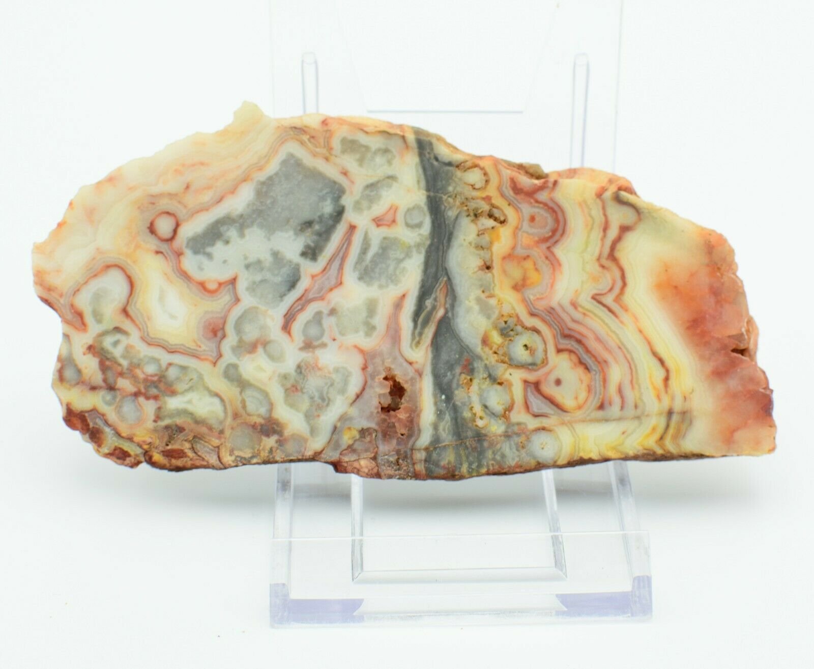 Polished-Western-Australian-Crazy-Lace-Agate-Slice-Stone-Slab-Pilbara-CL006-373995067630-2