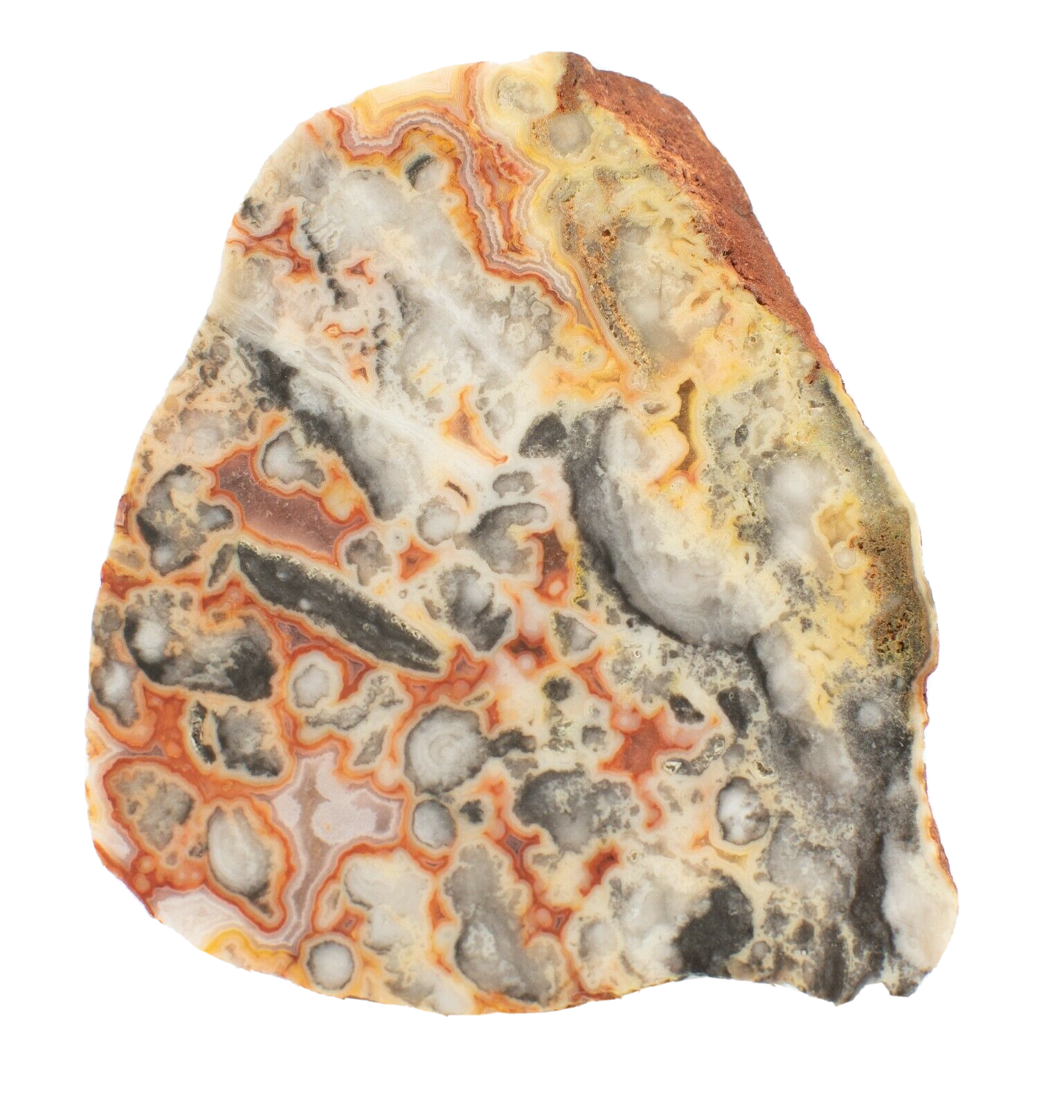Polished-Western-Australian-Crazy-Lace-Agate-Slice-Stone-Slab-Pilbara-CL007-374001878800
