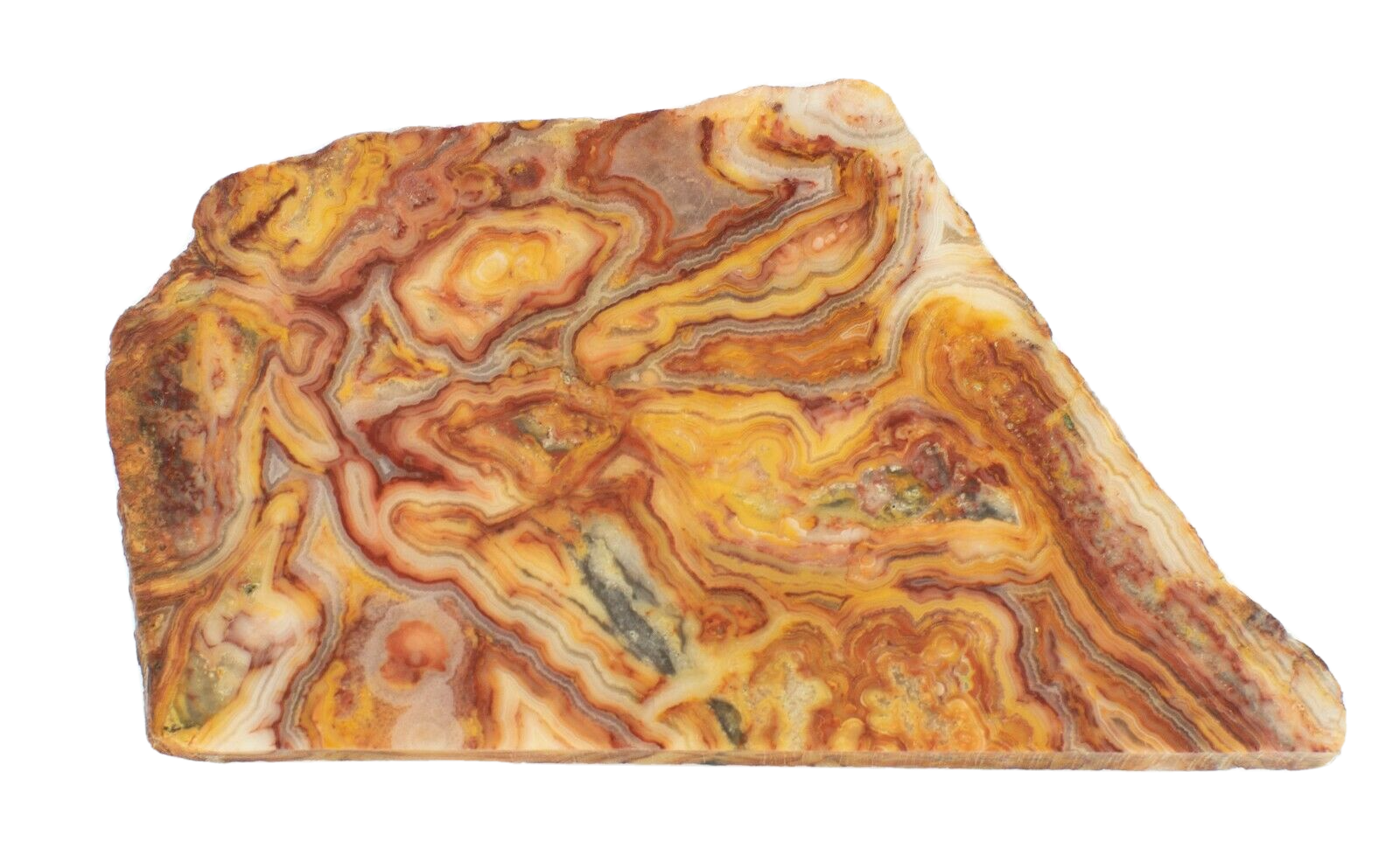 Polished-Western-Australian-Crazy-Lace-Agate-Slice-Stone-Slab-Pilbara-CL009-374001963330