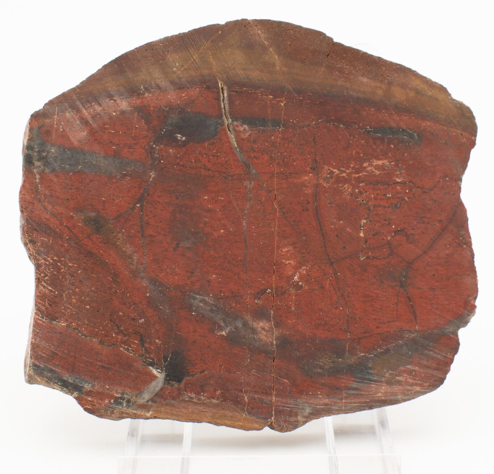 Polished-Western-Australian-Jasper-Slice-Stone-Slab-j0101231-374598474280-2