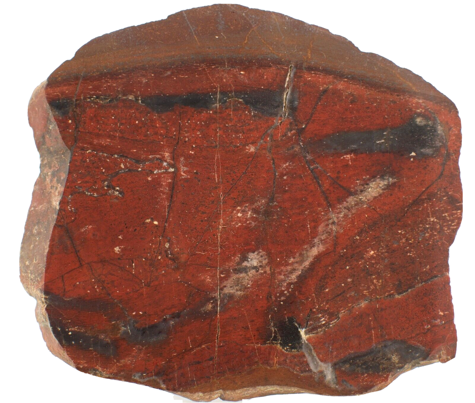 Polished-Western-Australian-Jasper-Slice-Stone-Slab-j0101231-374598474280