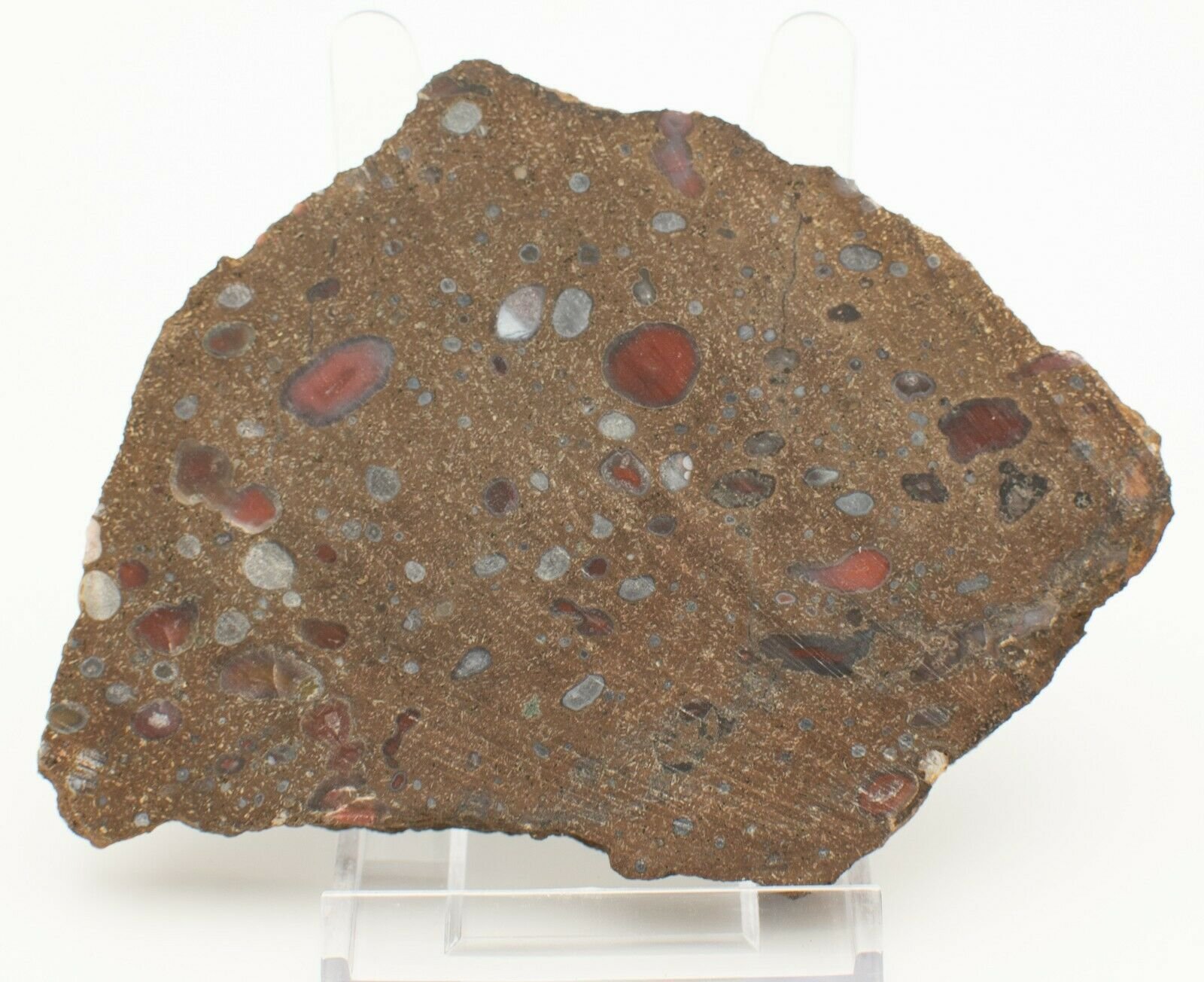 Polished-Queenland-Galaxy-Agate-Slice-Stone-Slab-Pilbara-GA003-374002047691-2