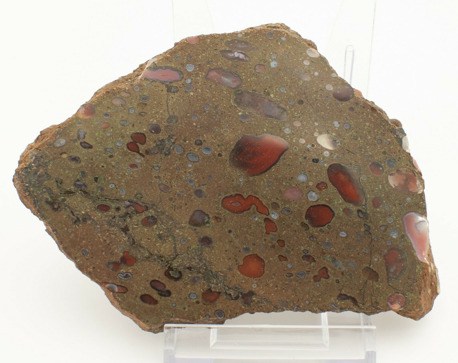 Polished-Queenland-Galaxy-Agate-Slice-Stone-Slab-Pilbara-GA003-374002047691