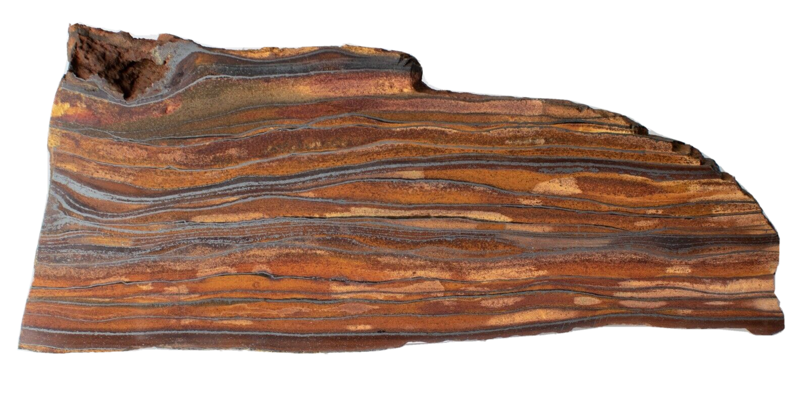 Polished-Western-Australian-Banded-Iron-Jasper-Slice-Stone-Slab-Pilbara-BI504237-374608290161