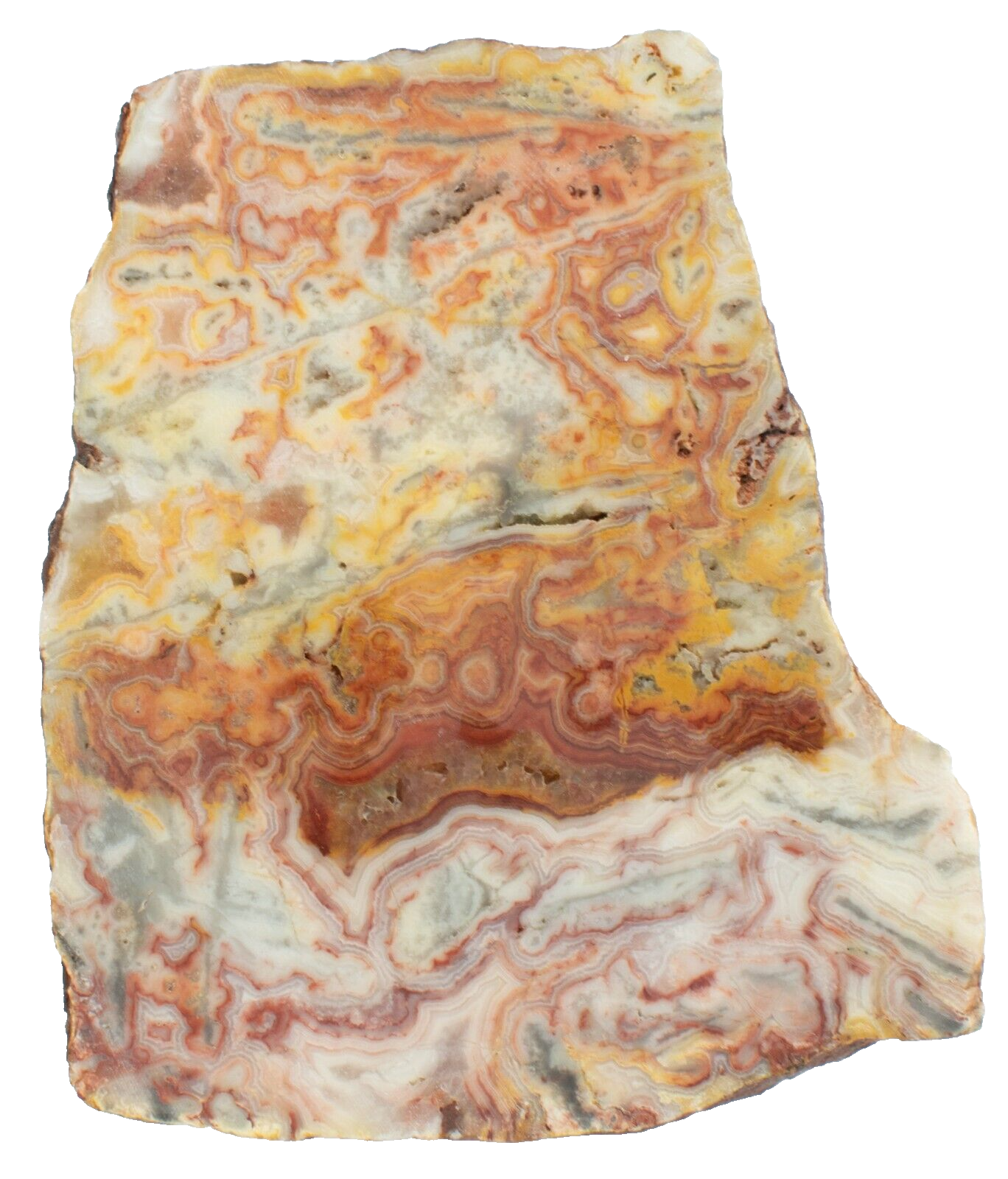 Polished-Western-Australian-Crazy-Lace-Agate-Slice-Stone-Slab-Pilbara-CL02053-375407237041-2