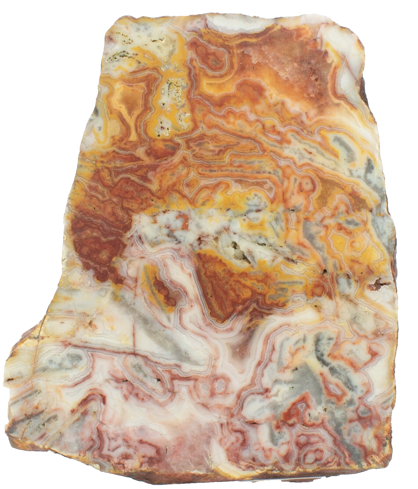 Polished-Western-Australian-Crazy-Lace-Agate-Slice-Stone-Slab-Pilbara-CL02053-375407237041