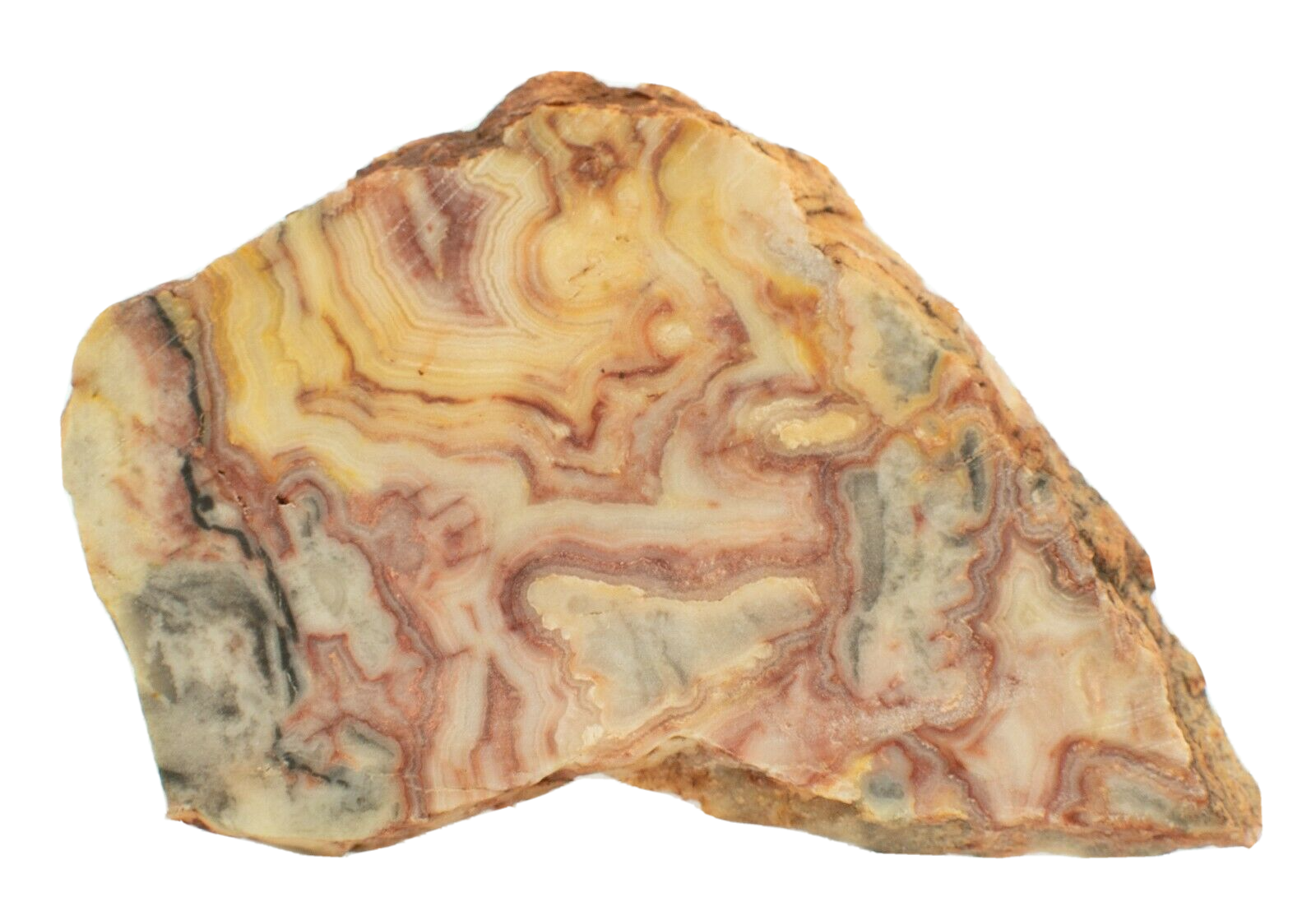 Polished-Western-Australian-Crazy-Lace-Agate-Slice-Stone-Slab-Pilbara-CL058-374012061271-2