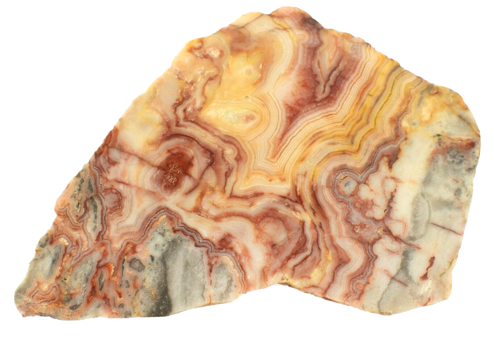 Polished-Western-Australian-Crazy-Lace-Agate-Slice-Stone-Slab-Pilbara-CL058-374012061271