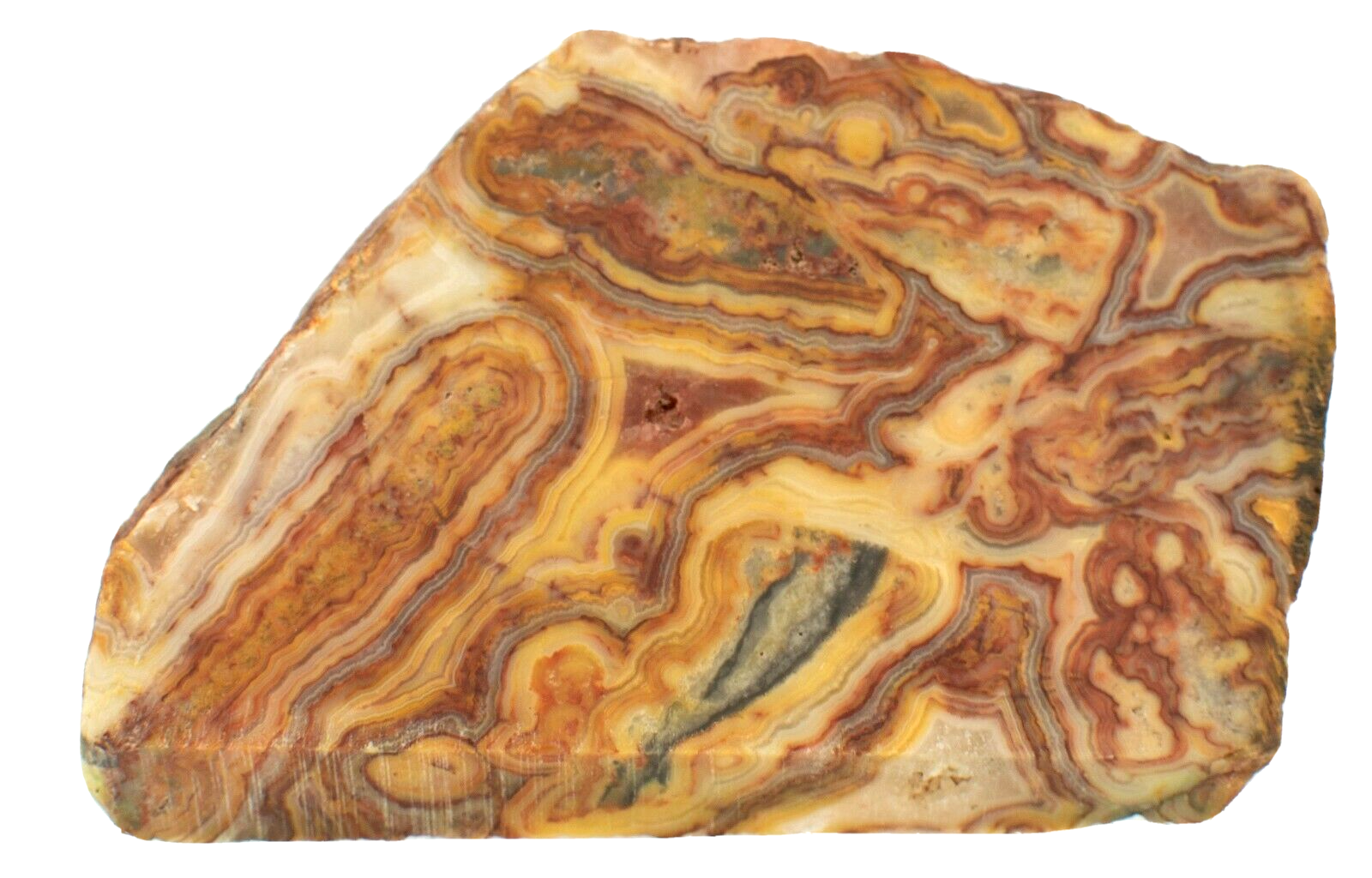Polished-Western-Australian-Crazy-Lace-Agate-Slice-Stone-Slab-Pilbara-CLO993-374010472771-2