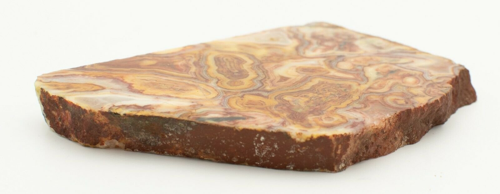 Polished-Western-Australian-Crazy-Lace-Agate-Slice-Stone-Slab-Pilbara-CLO993-374010472771-3