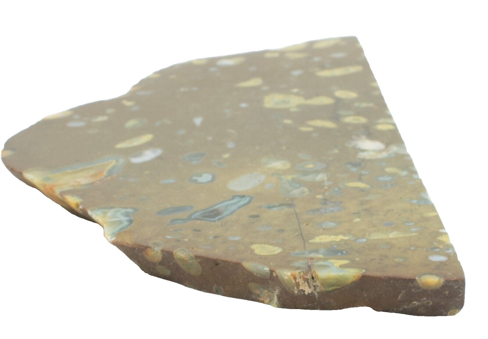 Polished-Western-Australian-Galaxy-Agate-Slice-Stone-Slab-Pilbara-GA02051-375407390851-4