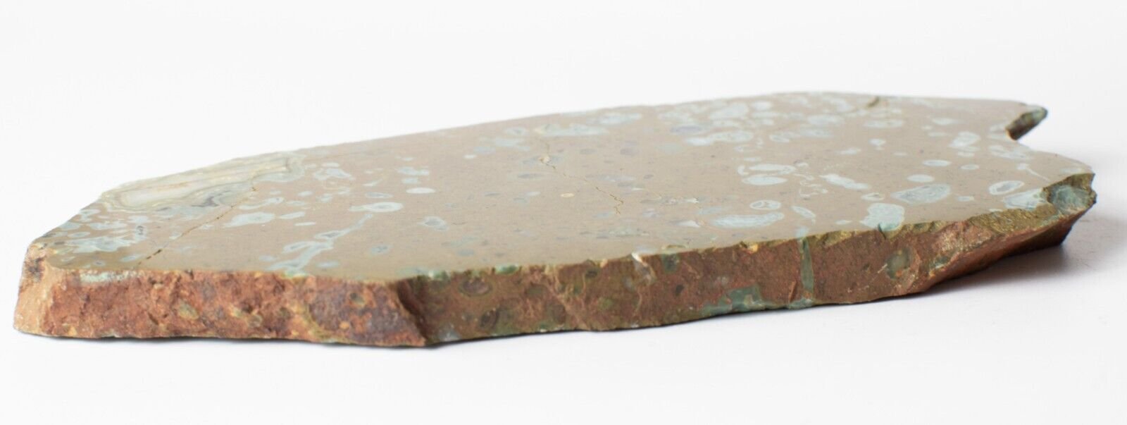 Polished-Western-Australian-Galaxy-Agate-Slice-Stone-Slab-Pilbara-ga30323b-374595055281-3