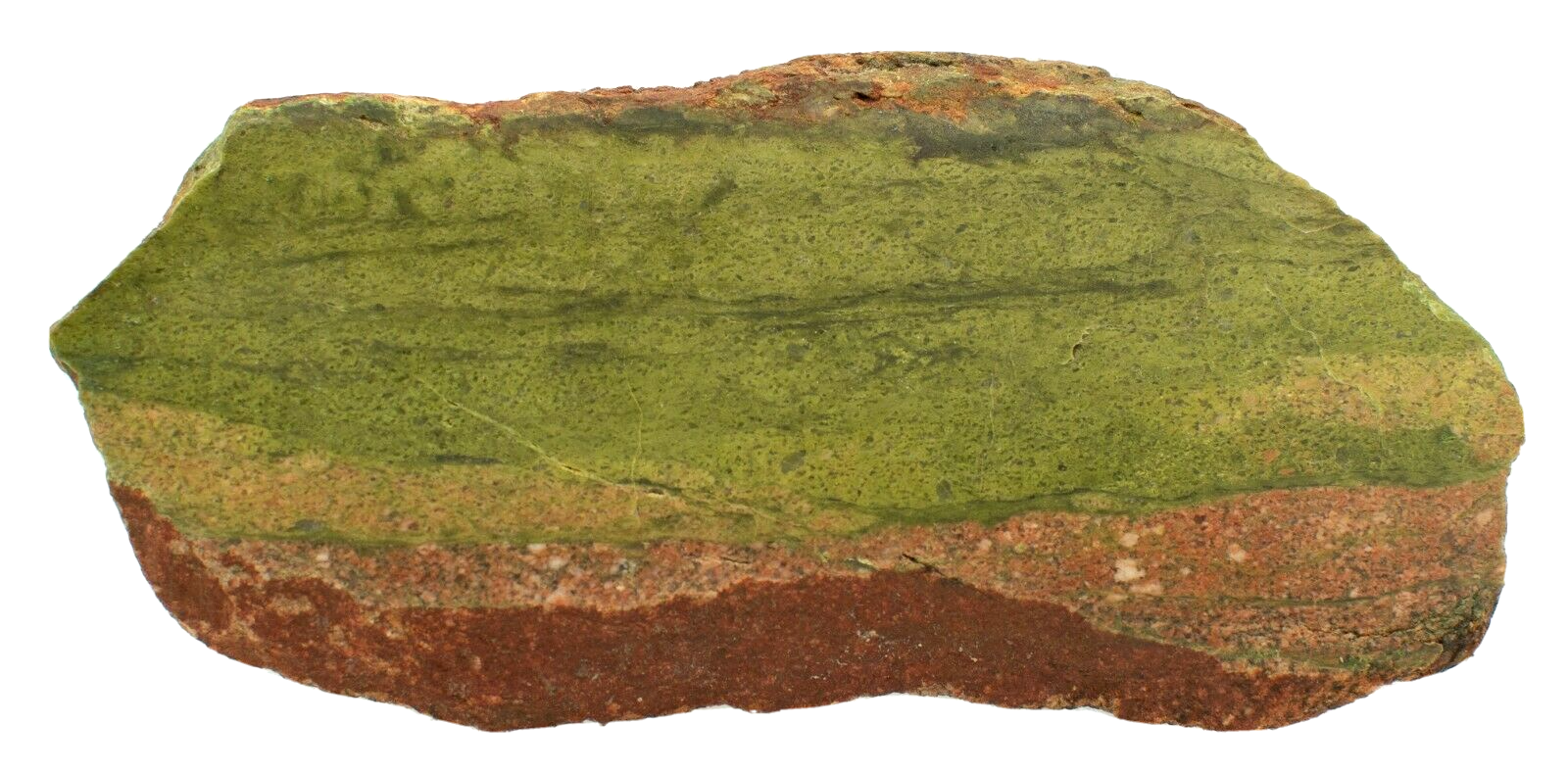 Western-Australian-Polished-Epidotized-Rhyolite-Slice-Pilbara-Slab-374010414321