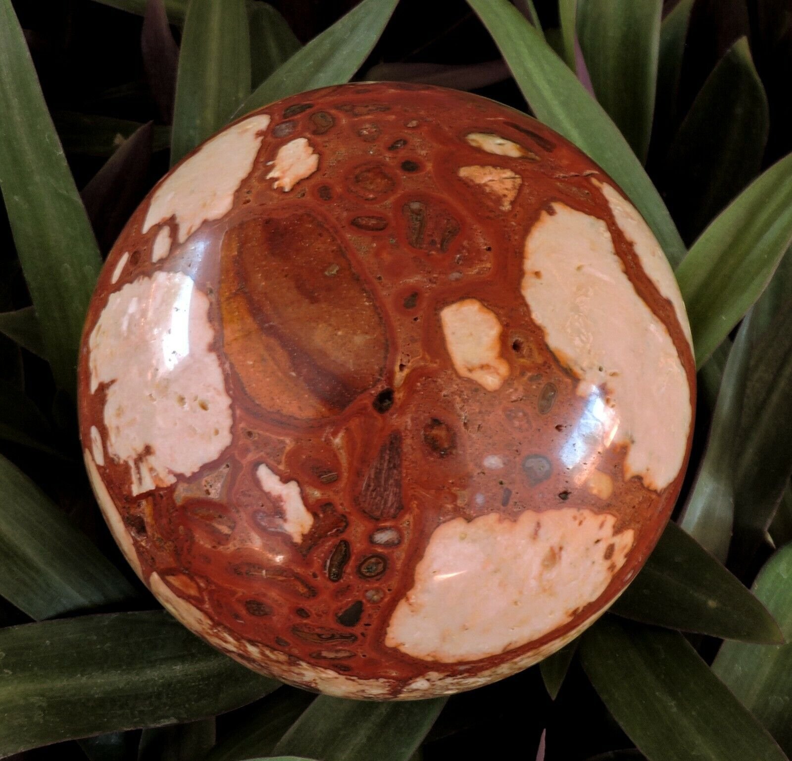 Exmouth-Western-Australia-Pudding-Stone-95mm-Rock-Sphere-Oncolite-Jasper-EPS3-372884534122-2
