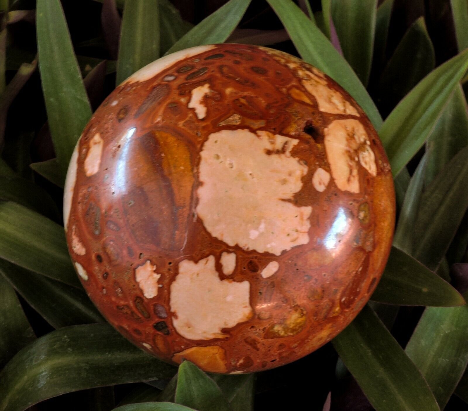 Exmouth-Western-Australia-Pudding-Stone-95mm-Rock-Sphere-Oncolite-Jasper-EPS3-372884534122-4