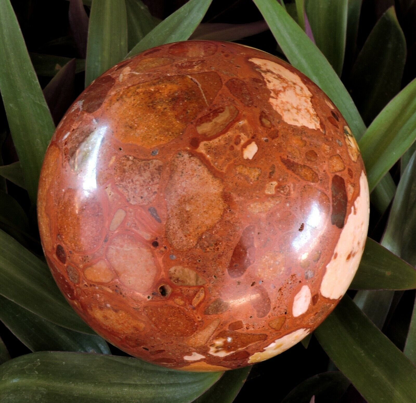 Exmouth-Western-Australia-Pudding-Stone-95mm-Rock-Sphere-Oncolite-Jasper-EPS3-372884534122-5