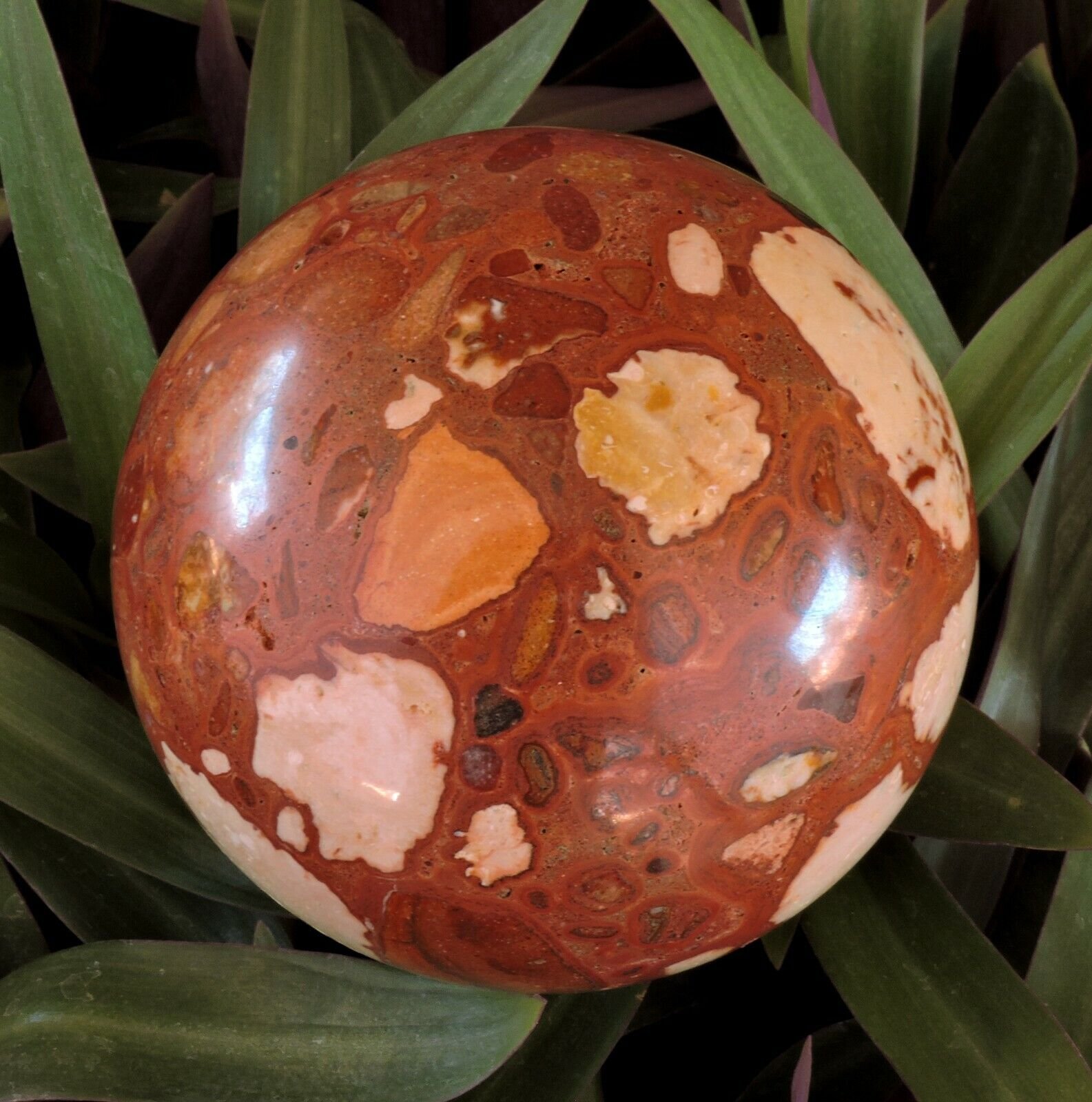 Exmouth-Western-Australia-Pudding-Stone-95mm-Rock-Sphere-Oncolite-Jasper-EPS3-372884534122