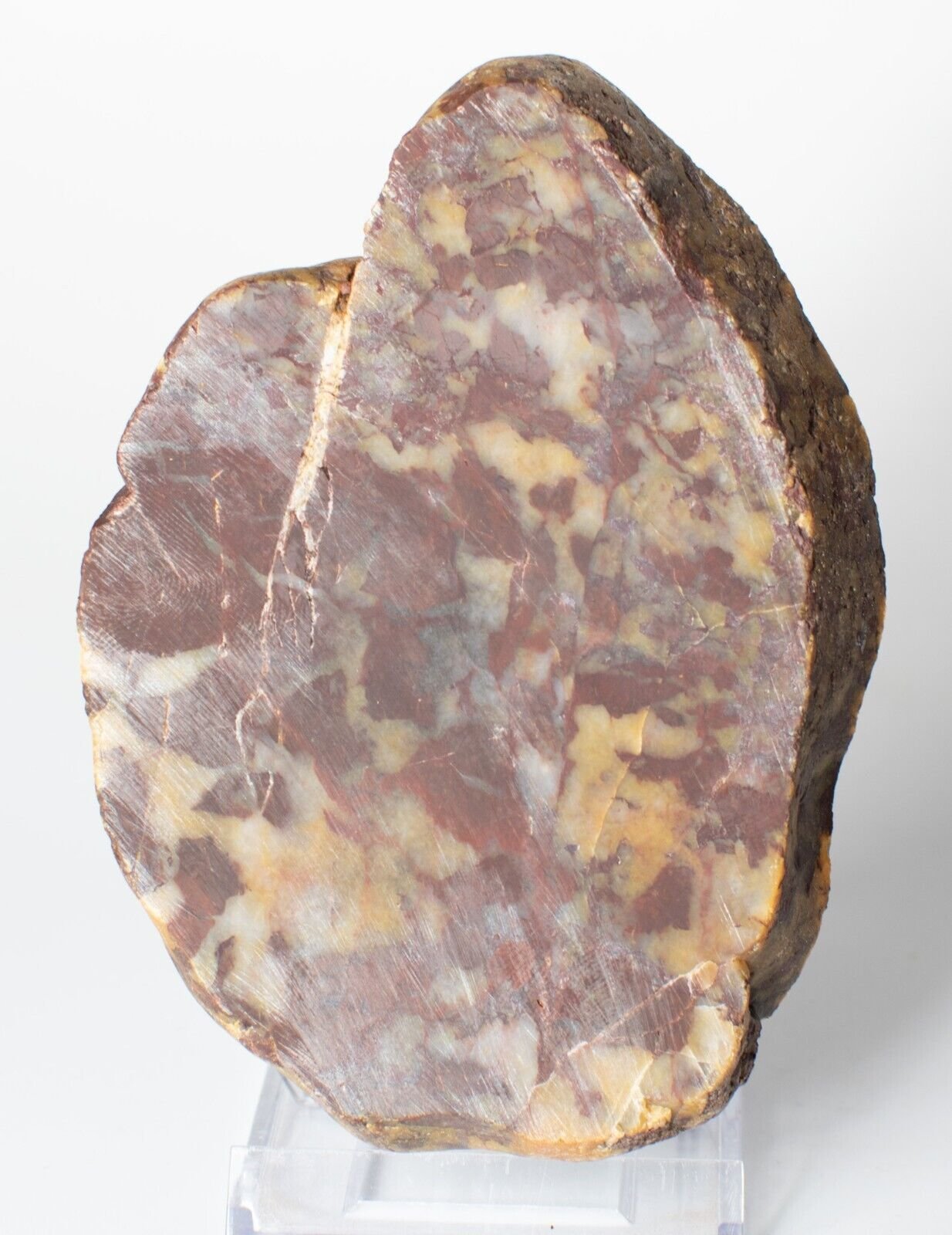 Polished-Queensland-Jasper-Slice-Rock-slab-QJ1204232-374624710612-2