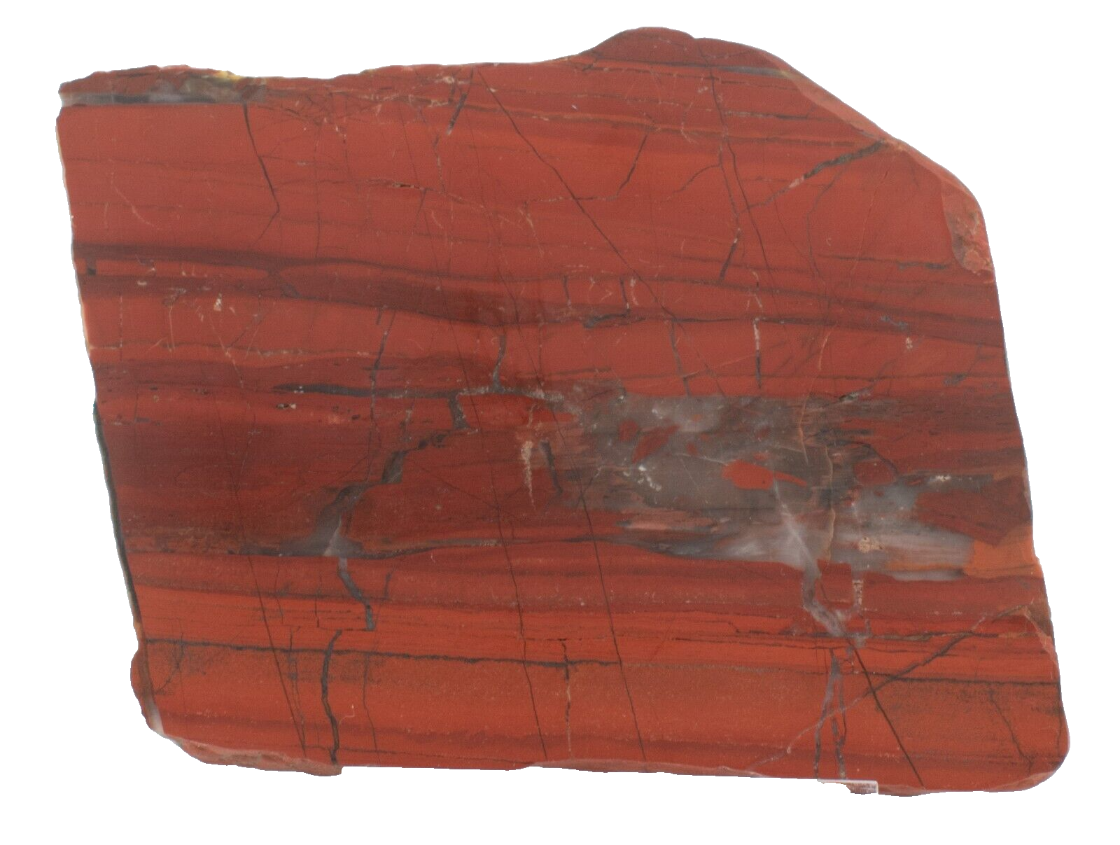 Polished-Western-Australian-Brecciated-Jasper-Slice-Stone-Slab-j03051-Pilbara-375409159902