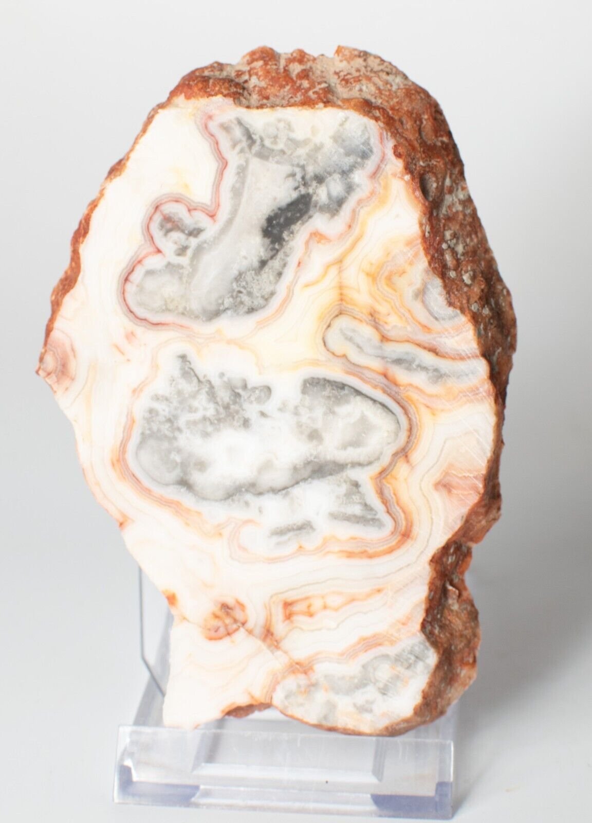 Polished-Western-Australian-Crazy-Lace-Agate-Slice-Stone-Slab-Pilbara-C120423-374624218902-2