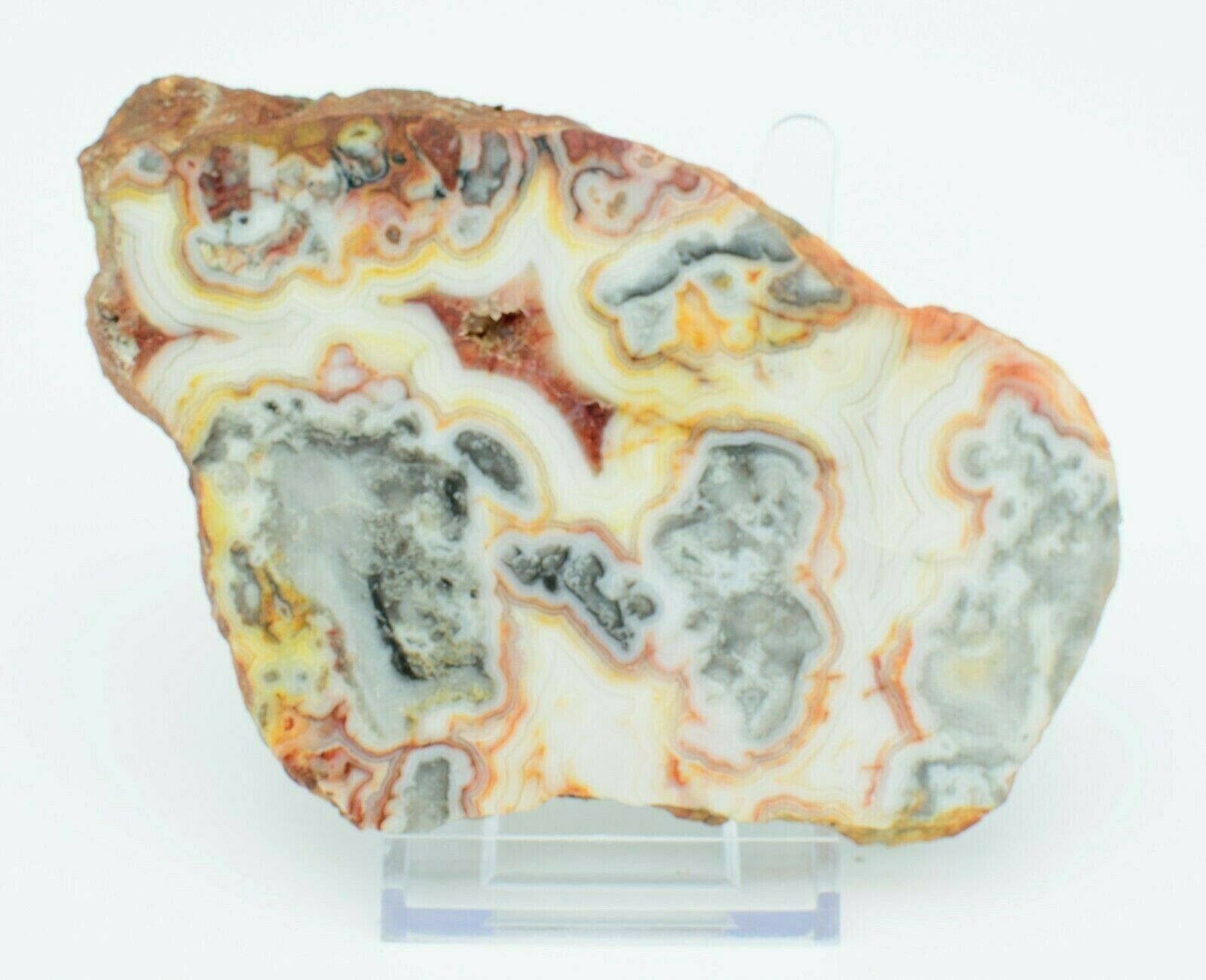 Polished-Western-Australian-Crazy-Lace-Agate-Slice-Stone-Slab-Pilbara-CL003-373995051372