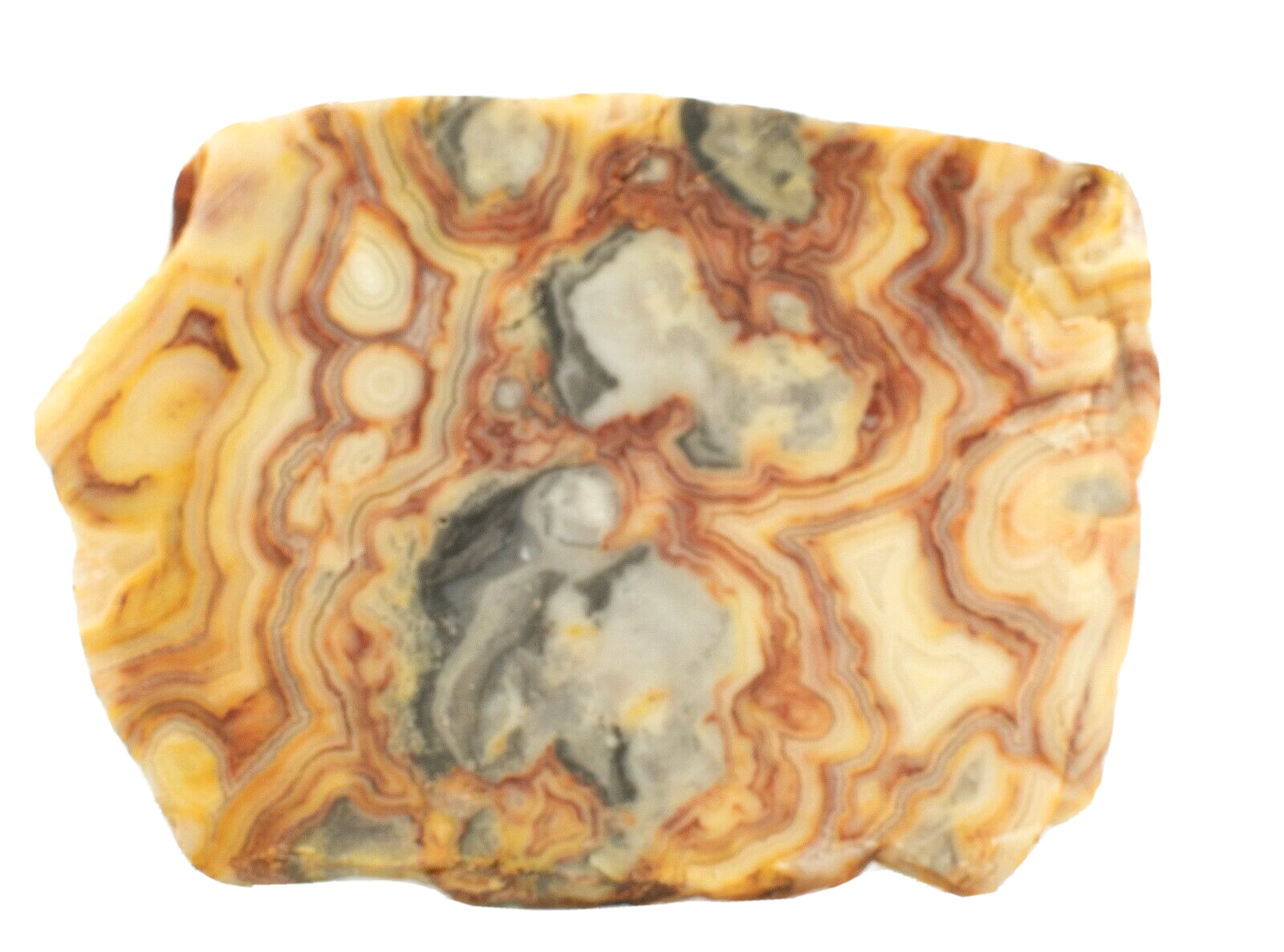 Polished-Western-Australian-Crazy-Lace-Agate-Slice-Stone-Slab-Pilbara-CL055-374012008732-2