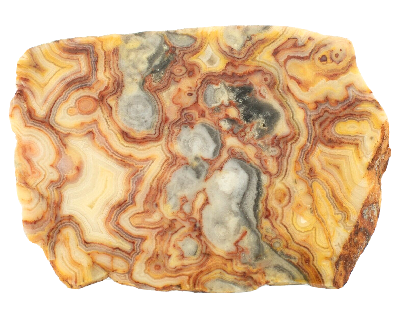 Polished-Western-Australian-Crazy-Lace-Agate-Slice-Stone-Slab-Pilbara-CL055-374012008732