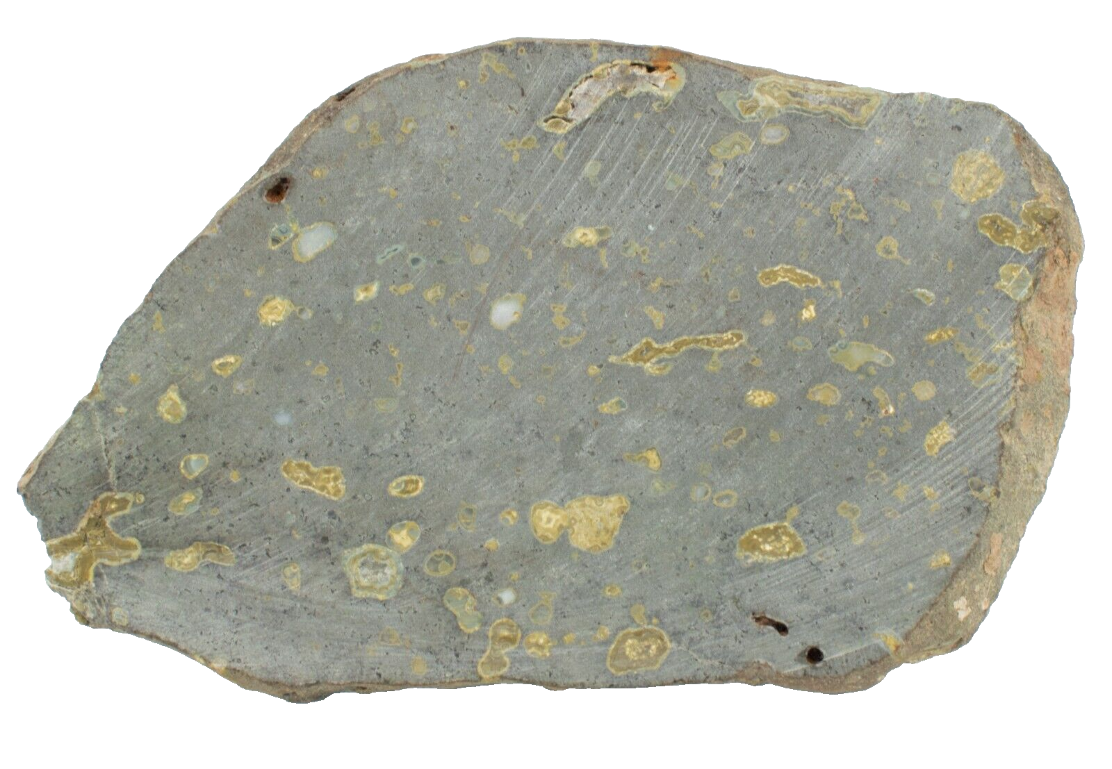 Polished-Western-Australian-Galaxy-Agate-Slice-Stone-Slab-Pilbara-GA02052-375407399942-2